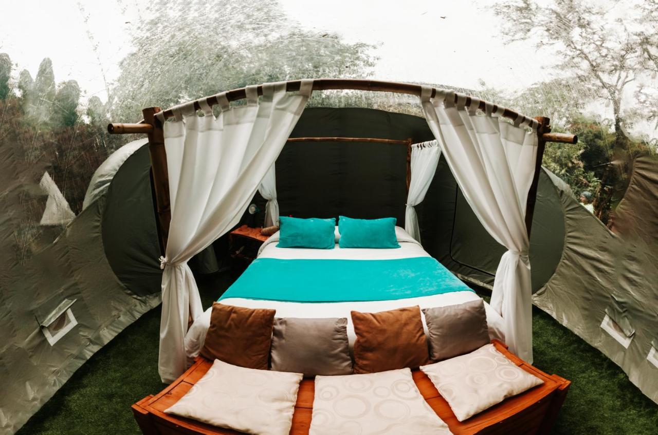 Mindo Glambird Glamping & Lodge Exteriér fotografie