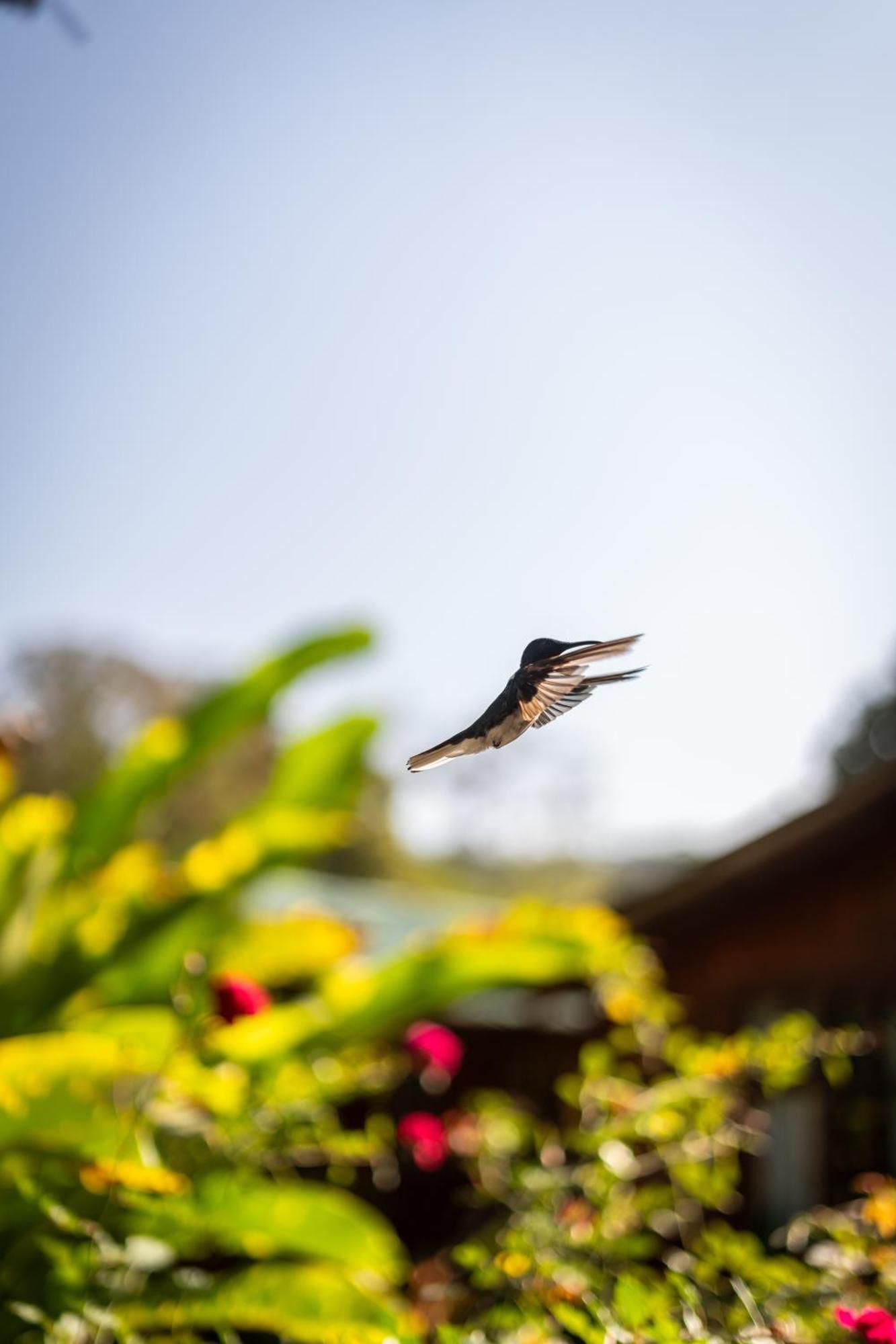 Mindo Glambird Glamping & Lodge Exteriér fotografie