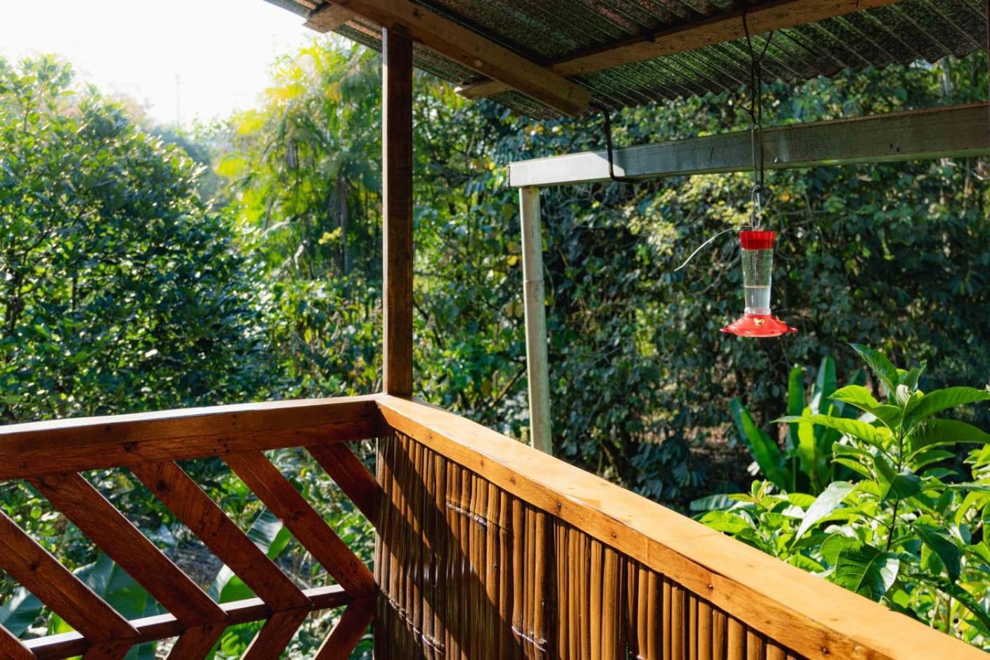 Mindo Glambird Glamping & Lodge Exteriér fotografie